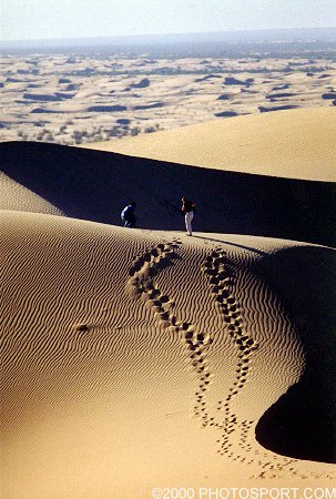 Glamis Dunes - North Side