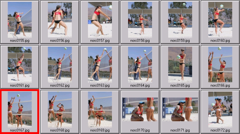 womens beach volleyball