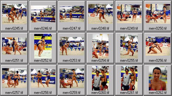 women's beach volleyball pictures