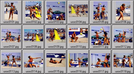 women's beach volleyball pictures