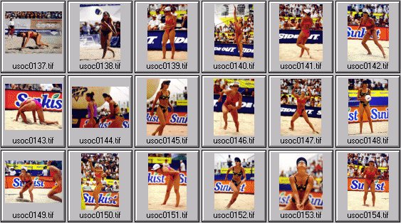 women's beach volleyball pictures