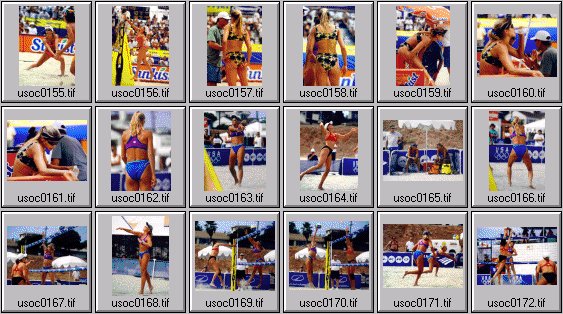 women's beach volleyball pictures