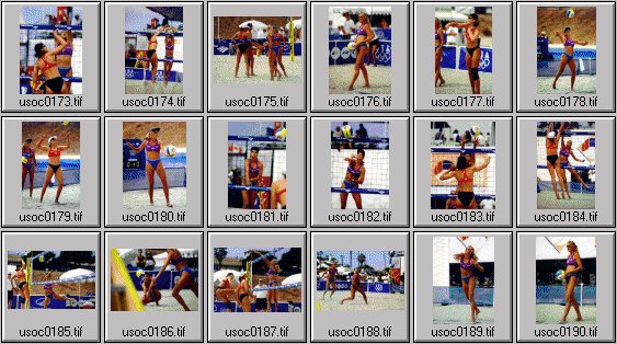 women's beach volleyball pictures