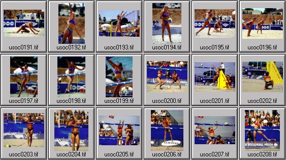 women's beach volleyball pictures
