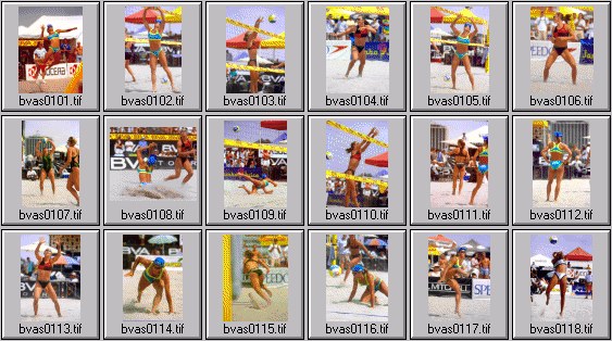 women's beach volleyball pictures