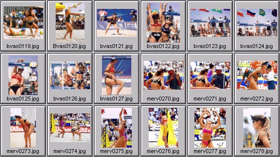 women's beach volleyball pictures