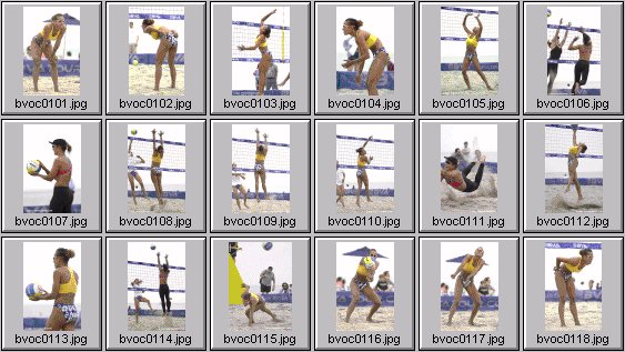 women's beach volleyball pictures