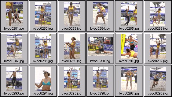 women's beach volleyball pictures