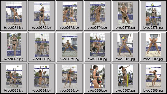 women's beach volleyball pictures