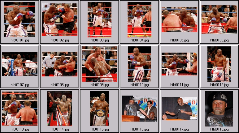 holyfield botha fight