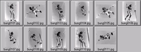bungee pix