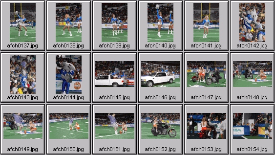 arena football cheerleading pictures