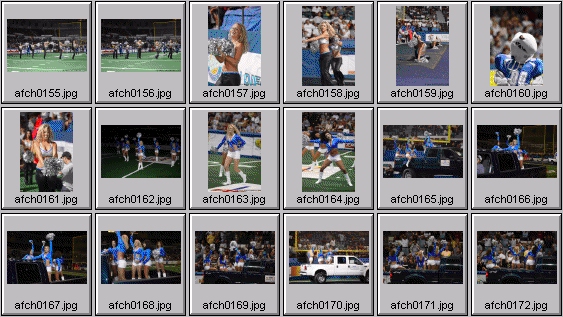 arena football cheerleading pictures