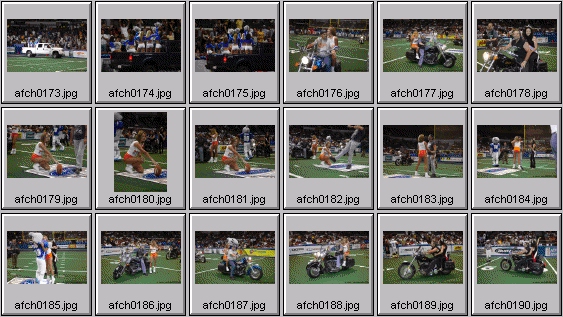 arena football cheerleading pictures