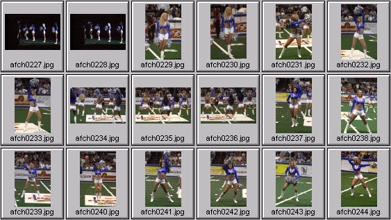 arena football cheerleading pictures