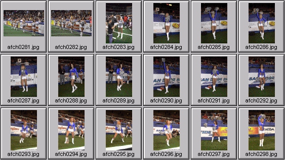 arena football cheerleading pictures