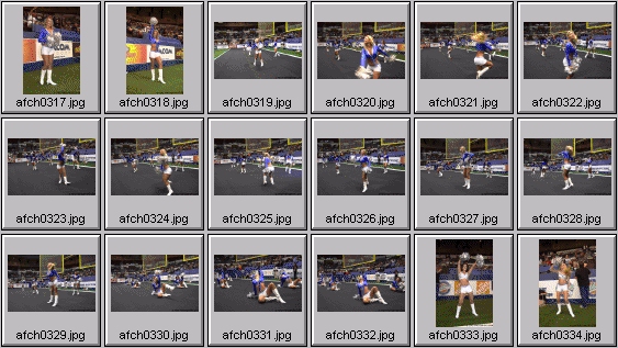 arena football cheerleading pictures