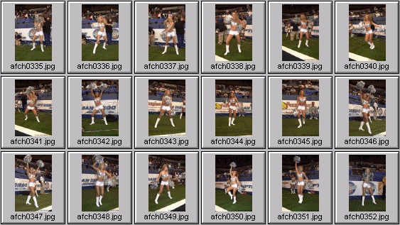 arena football cheerleading pictures