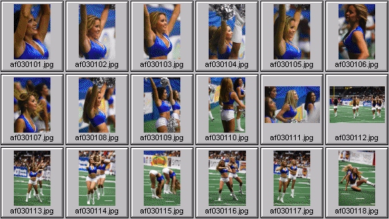 arena football cheerleading pictures