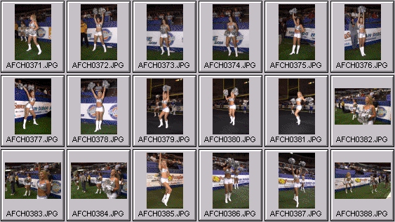 arena football cheerleading pictures