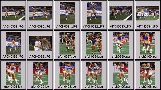 arena football cheerleading pictures