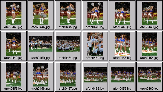arena football cheerleading pictures