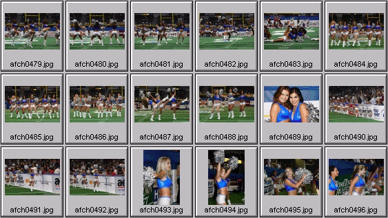 arena football cheerleading pictures