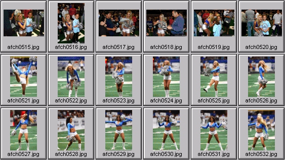 arena football cheerleading pictures