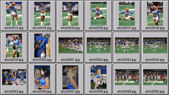 arena football cheerleading pictures