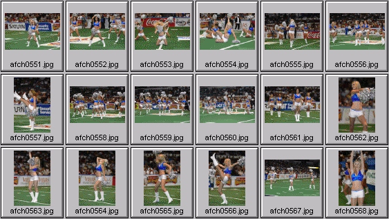 arena football cheerleading pictures