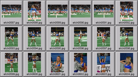 arena football cheerleading pictures
