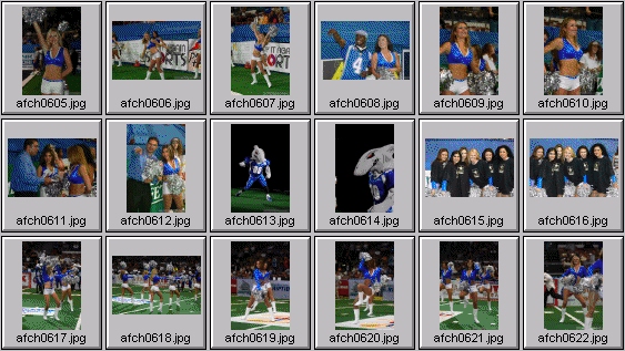 arena football cheerleading pictures