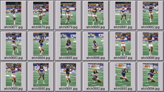 arena football cheerleading pictures