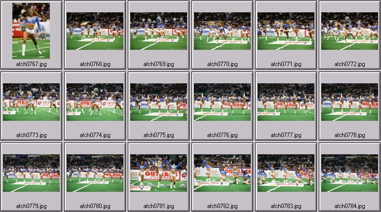 arena football cheerleading pictures