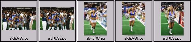 arena football cheerleading pictures