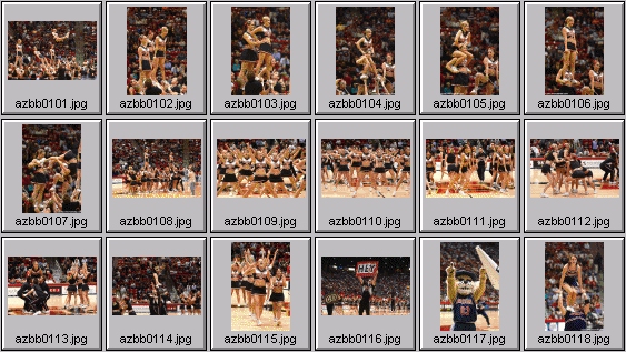 college cheerleading pictures