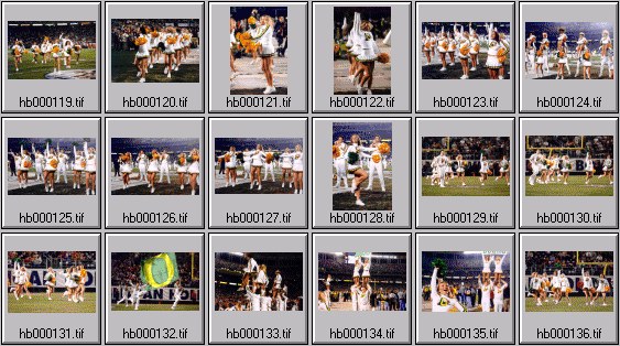 texas college cheerleader pictures