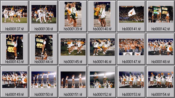 texas college cheerleader pictures