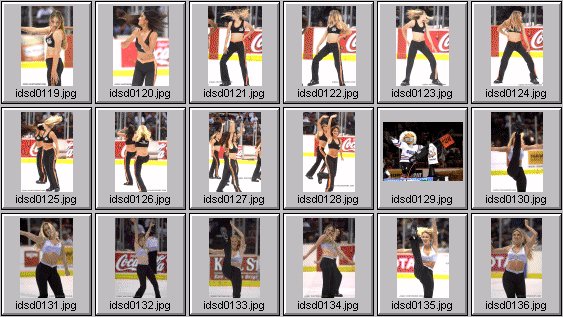 professional cheerleader pictures