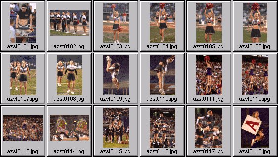 professional cheerleader pictures