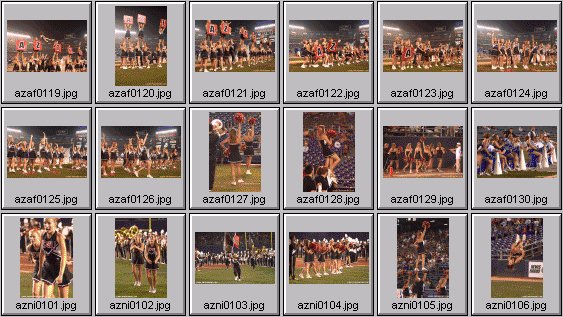 professional cheerleader pictures