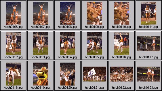 professional cheerleader pictures