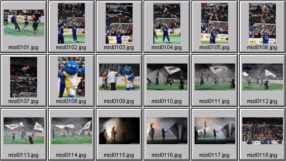 pro cheerleader pictures