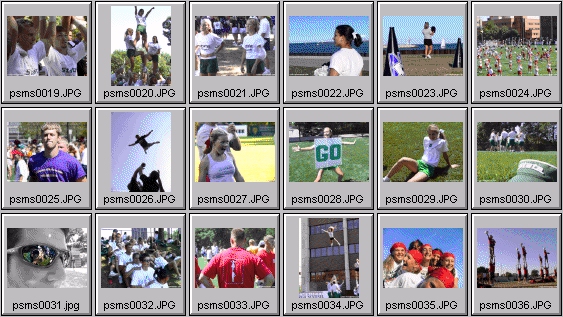 college cheerleading pictures