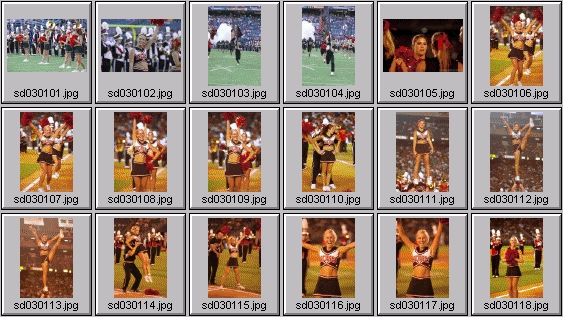 college cheerleading pictures