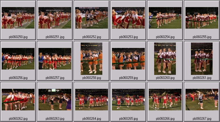 northern illinois cheerleading