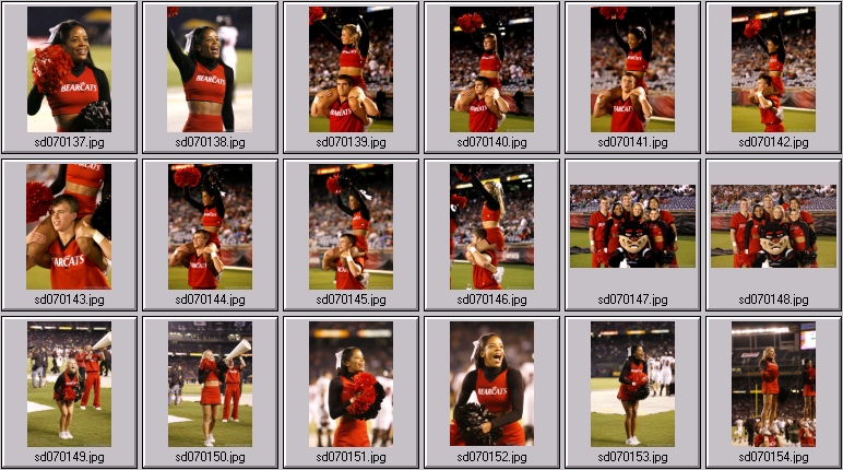cincinatti bearcat cheer photos
