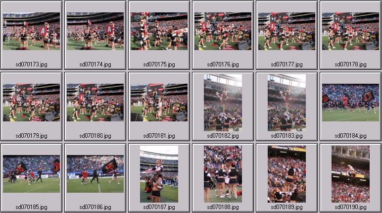 cincinatti bearcat cheer photos