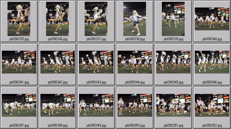 utah cal cheer squad