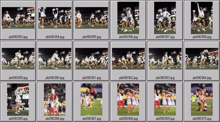 utah cal cheer squad